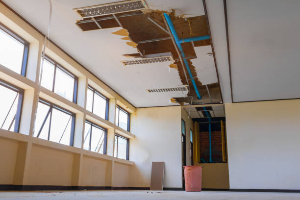 Best Basement water damage restoration  in San Anselmo, CA