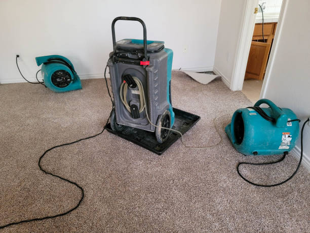 Best Residential water damage restoration  in San Anselmo, CA