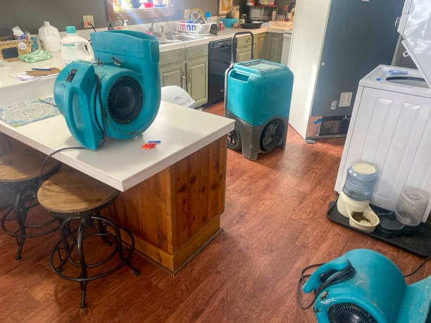 Best Commercial water damage restoration  in San Anselmo, CA