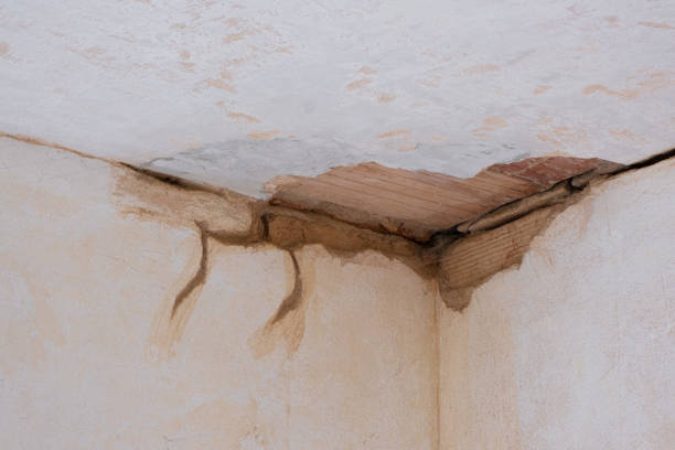 Best Water damage cleanup near me  in San Anselmo, CA