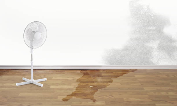 Reliable San Anselmo, CA Water damage restoration Solutions