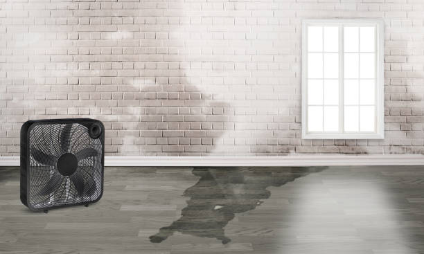  San Anselmo, CA Water damage restoration Pros
