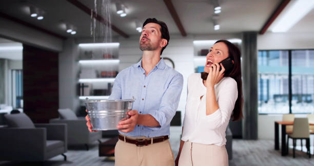 Water damage restoration mold remediation in San Anselmo, CA