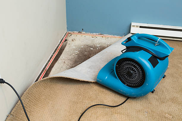 Best Water damage restoration specialists  in San Anselmo, CA